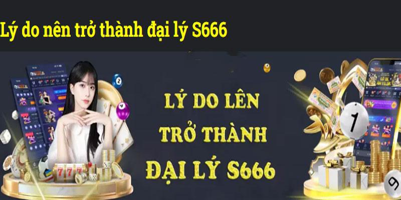 s689 - Điểm đến uy tín lựa chọn nhà cung cấp